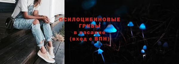 дживик Козловка