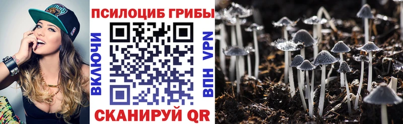 Псилоцибиновые грибы Magic Shrooms даркнет официальный сайт Афипский